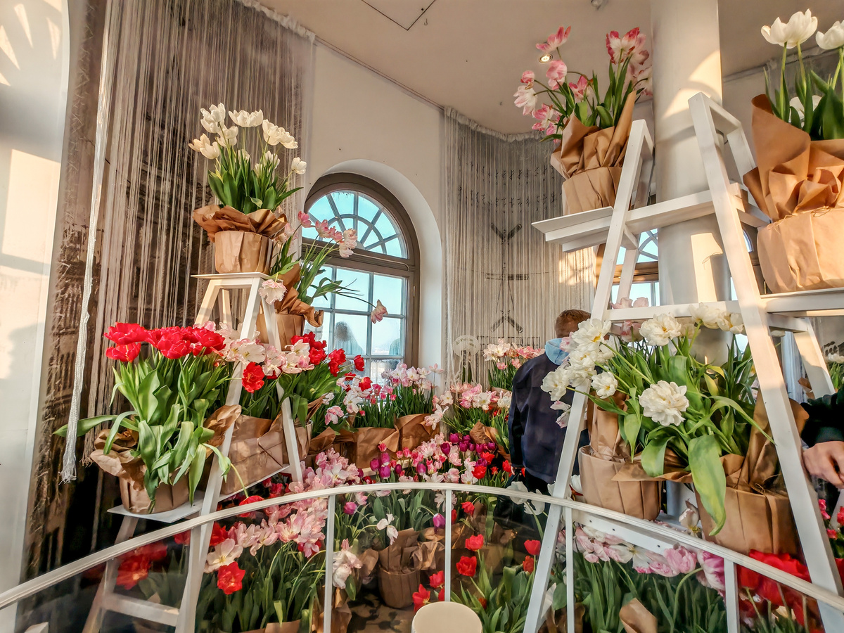 Фотография автора