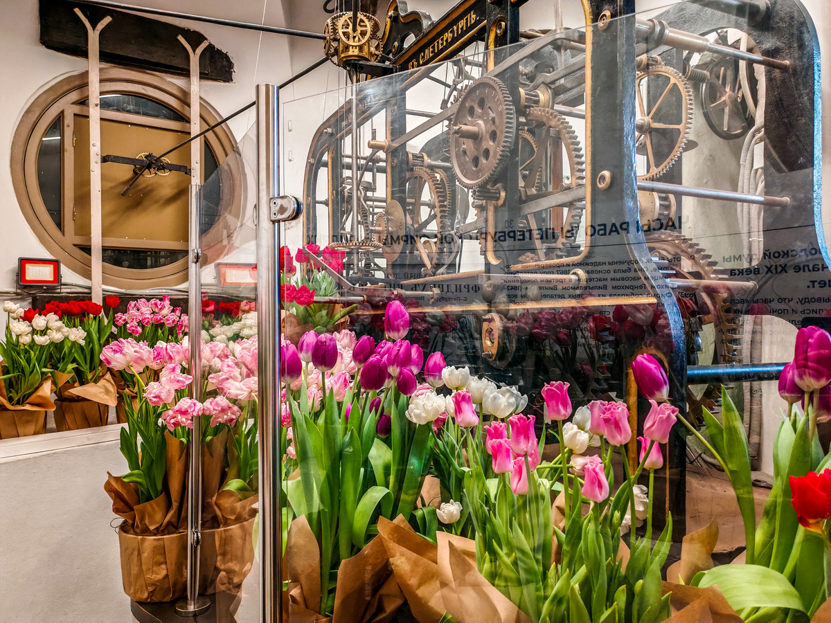 Фотография автора