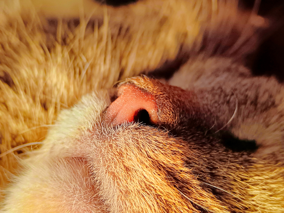 Нет, не пахнет весной)