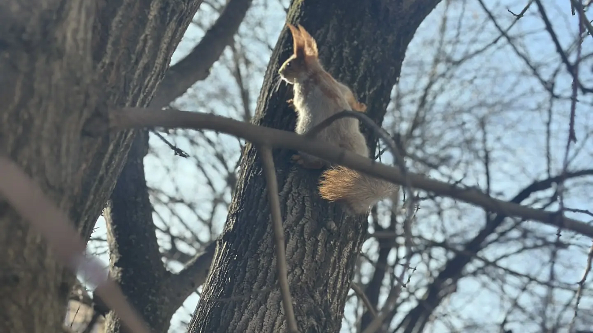    Фото: телеканал «Краснодар»