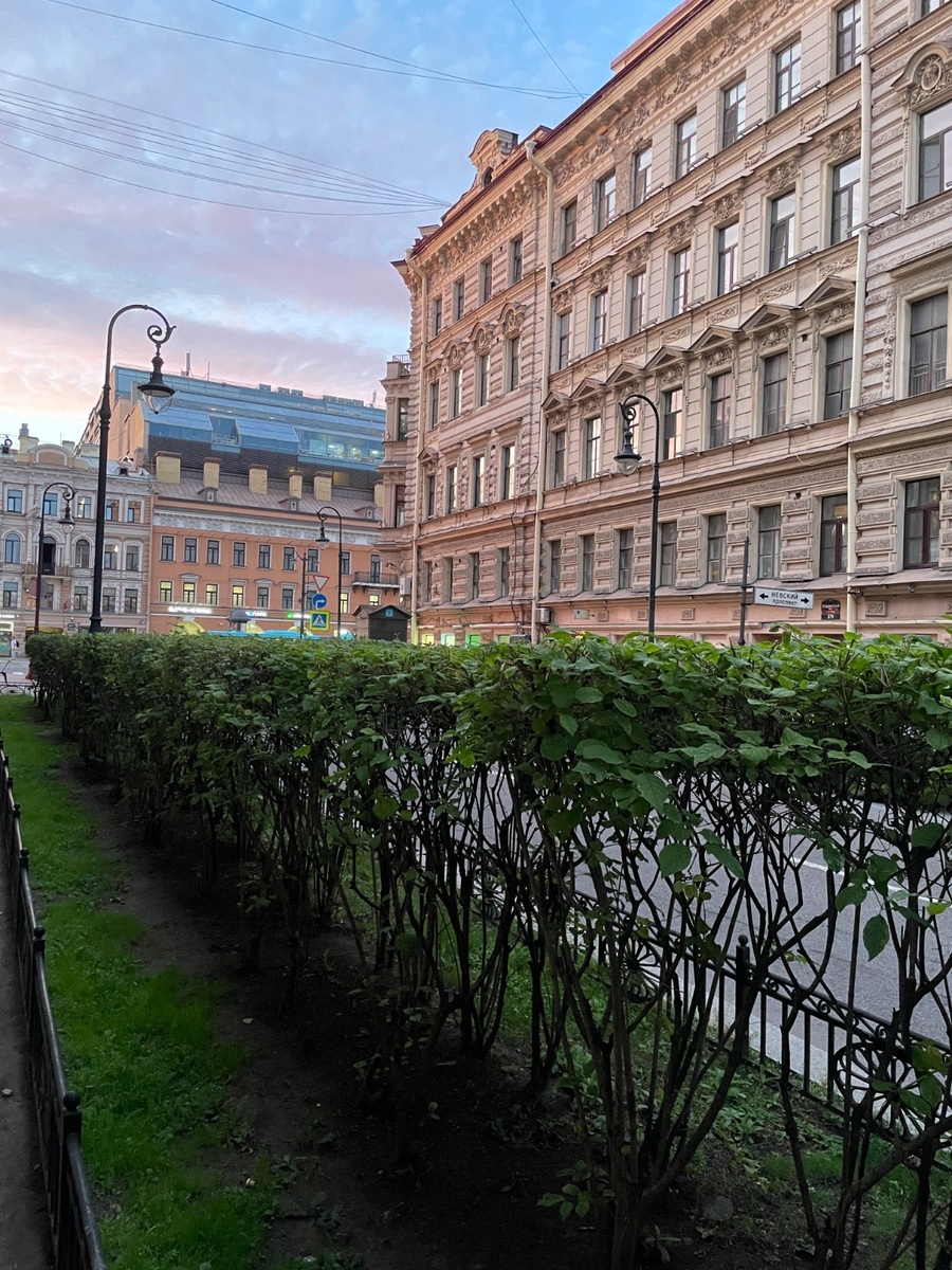 Отдельно отмечу качественную обработку задействованных зон. Перед лазером умыли, обработали антисептиком, после процедуры тщательно смазали пантенолом, стерли белые следы от карандаша. Не придраться.