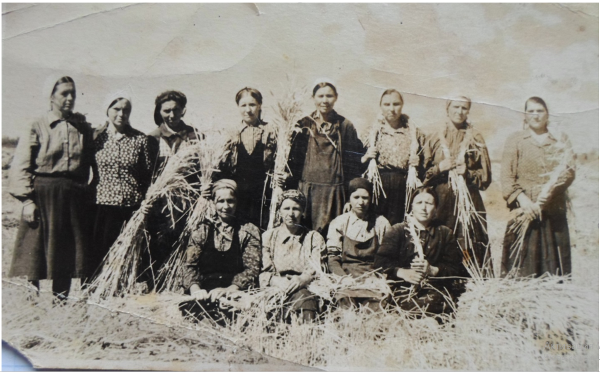 Труженики колхоза» Искра», из архива летописи села