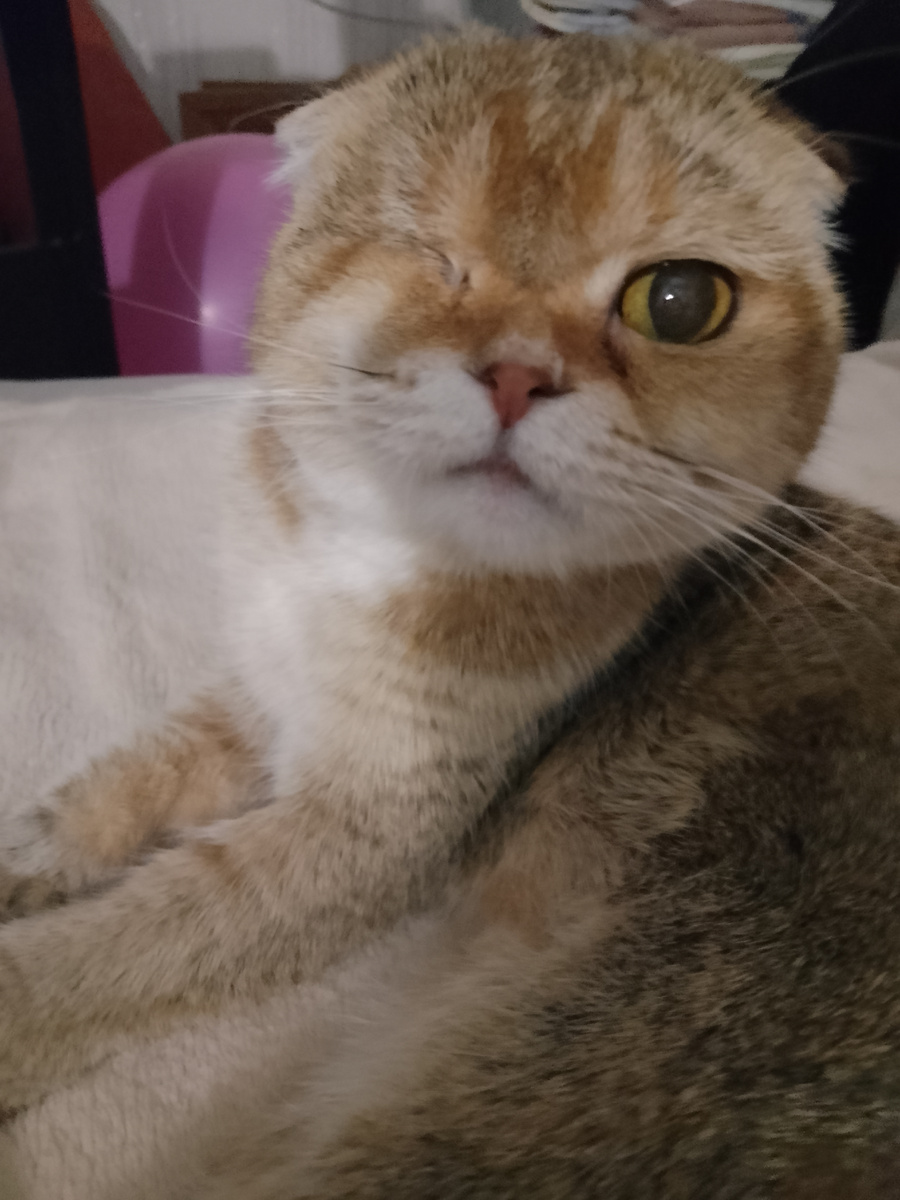 Наташа, ты меня когда-нибудь покалечишь. Держи себя в руках, да? 