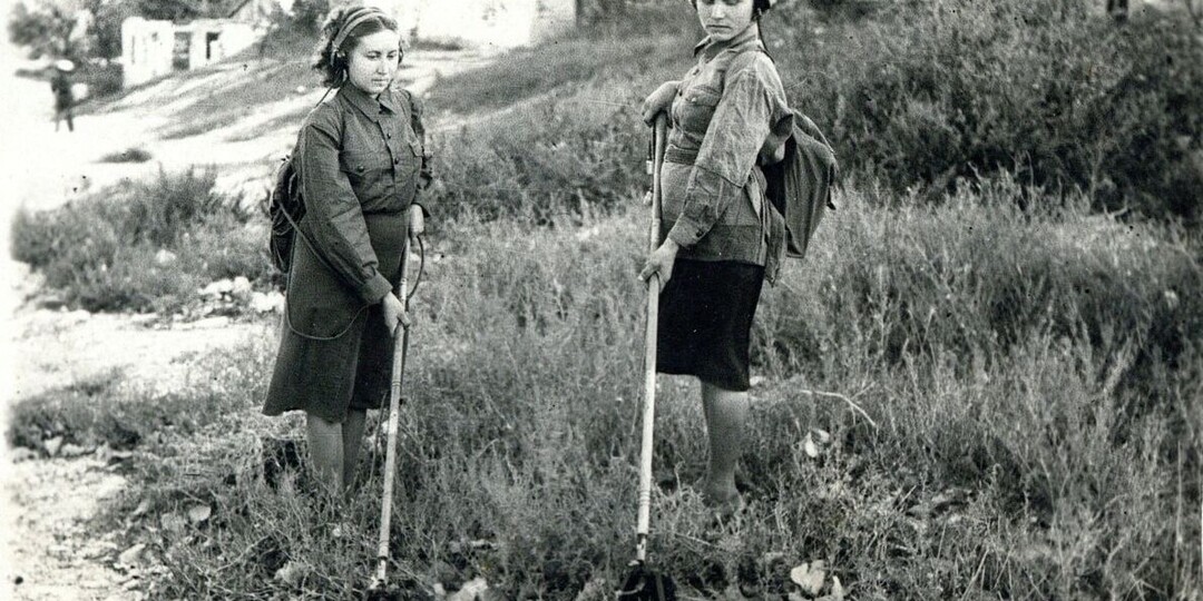 Кто в первую очередь разминировал освобожденные от немцев территории?