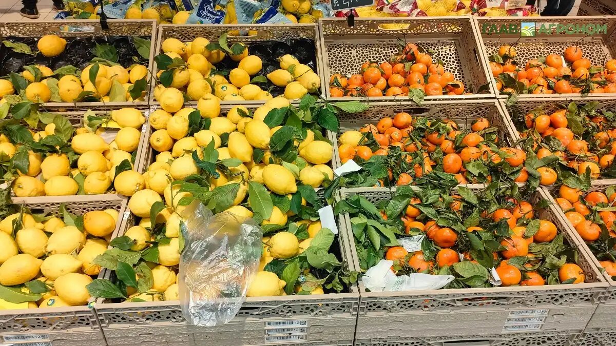 Фото:© Александр Маментович
Новый ГОСТ для фруктов уточнит требования к содержанию токсичных элементов, микотоксинов, пестицидов