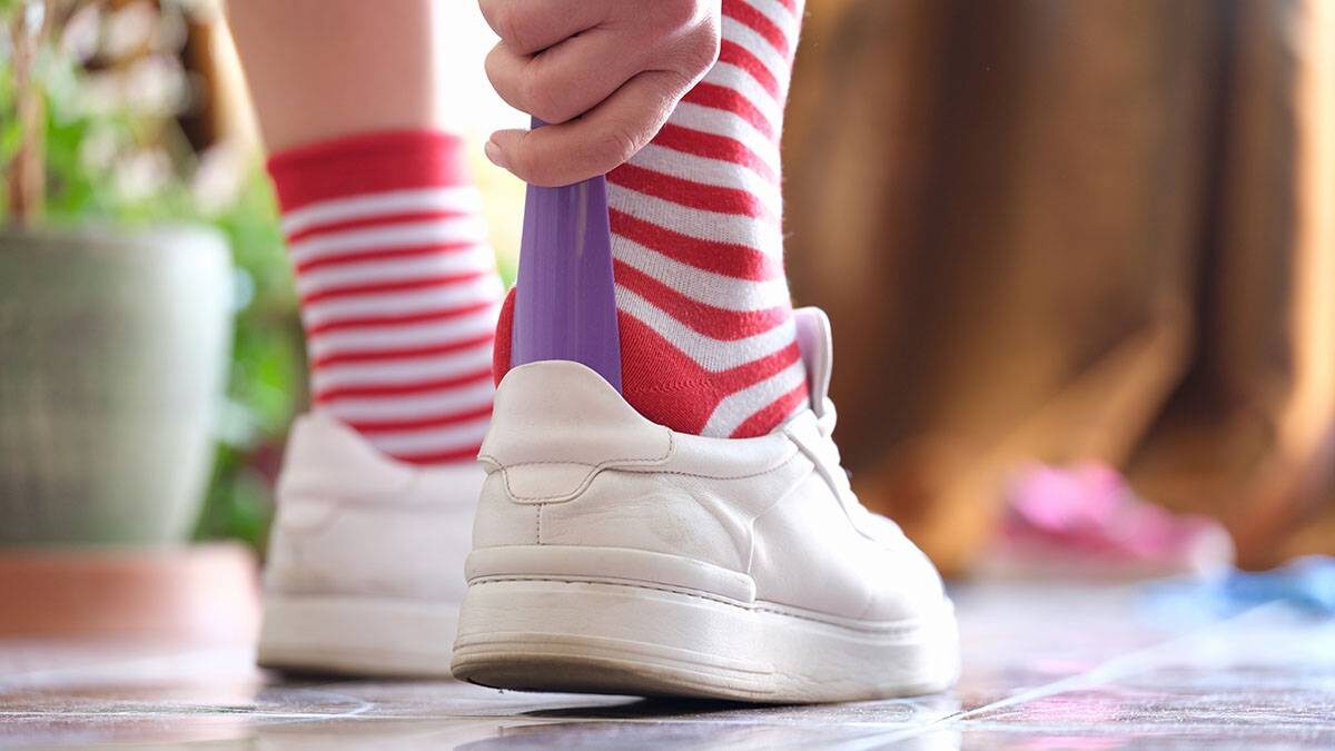    Фото: Shutterstock