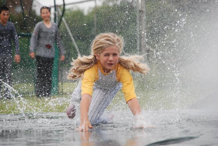    Фото: по лицензии CC0 Pxhere.com