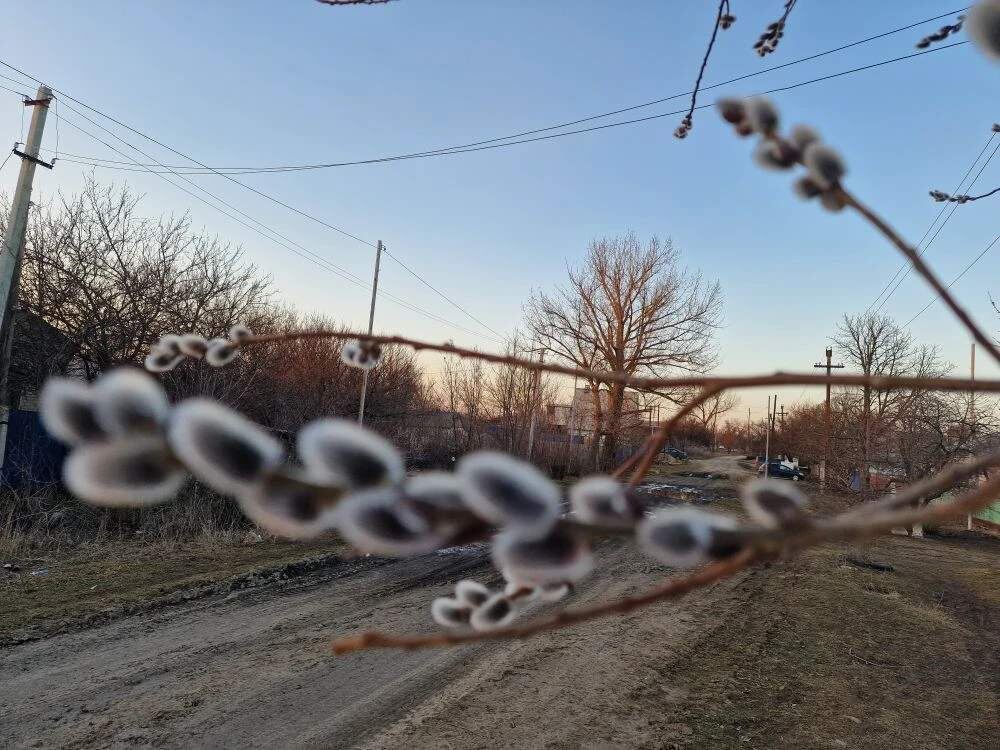    Фото: Е. Богачева. Галина Ященко