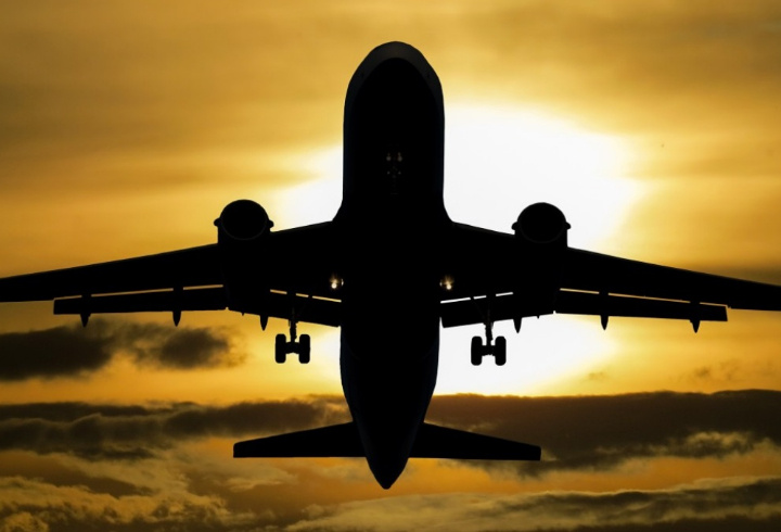 фото: pxhere.com