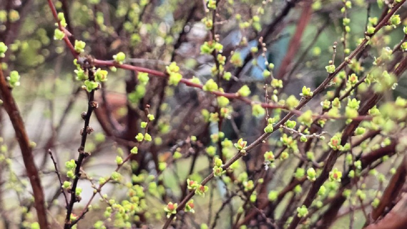   Фото Анастасии Дмитриевой