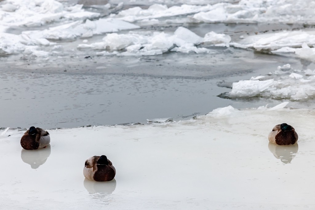    Фото © Дмитрий Дубинский / Абзац