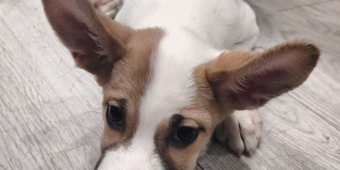 Я проблемный… Это приговор, неужели у меня не будет мамы? 🥺