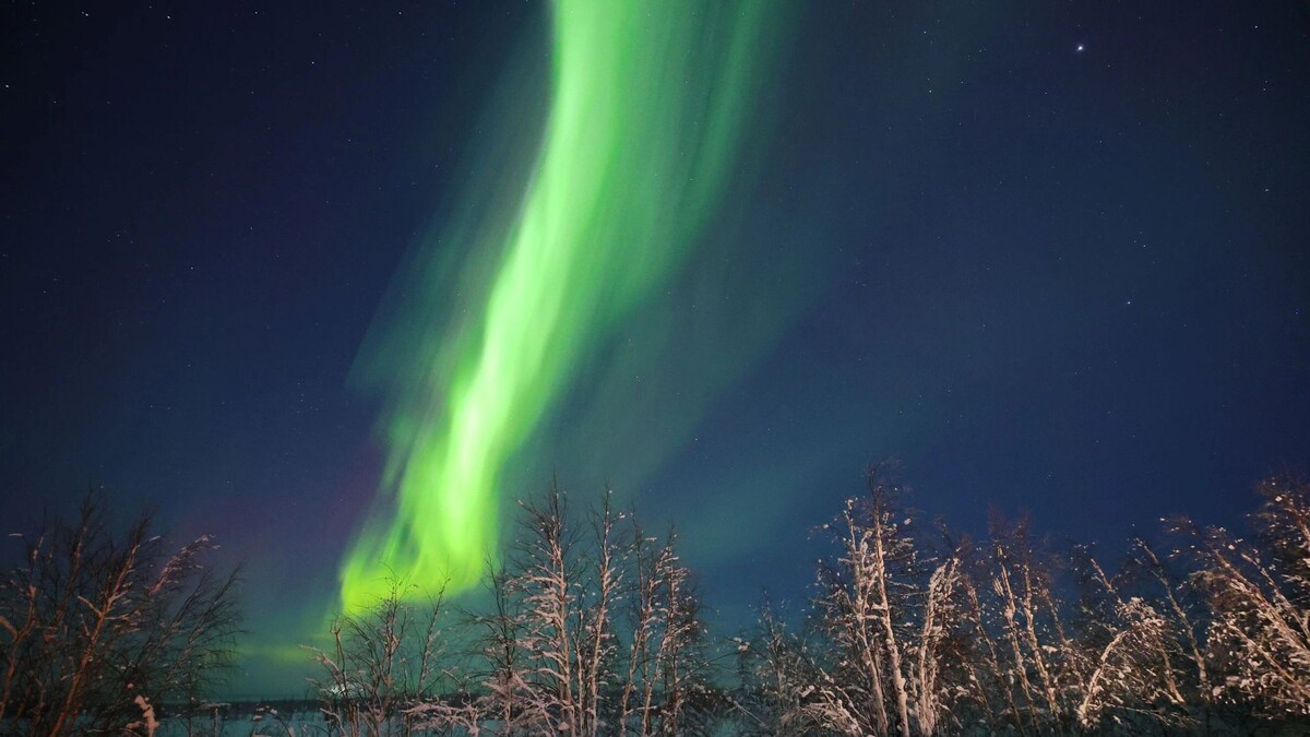    Фото: Андрей Ткачев / «Ямал-Медиа»