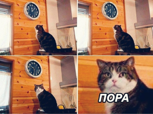 Мое тотемное животное