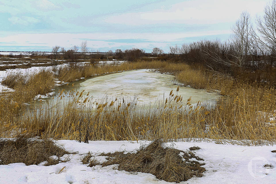    Фото: Дмитрий Рогулин / "Городские вести"