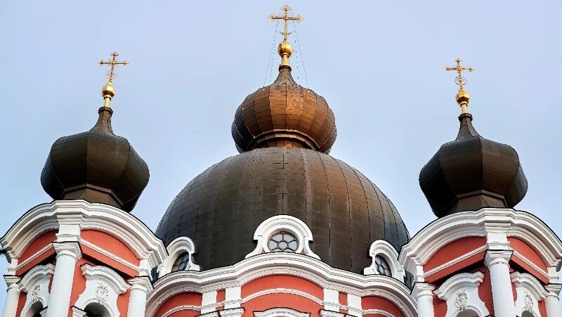      Фото: @frimufilms / ru.freepik.com