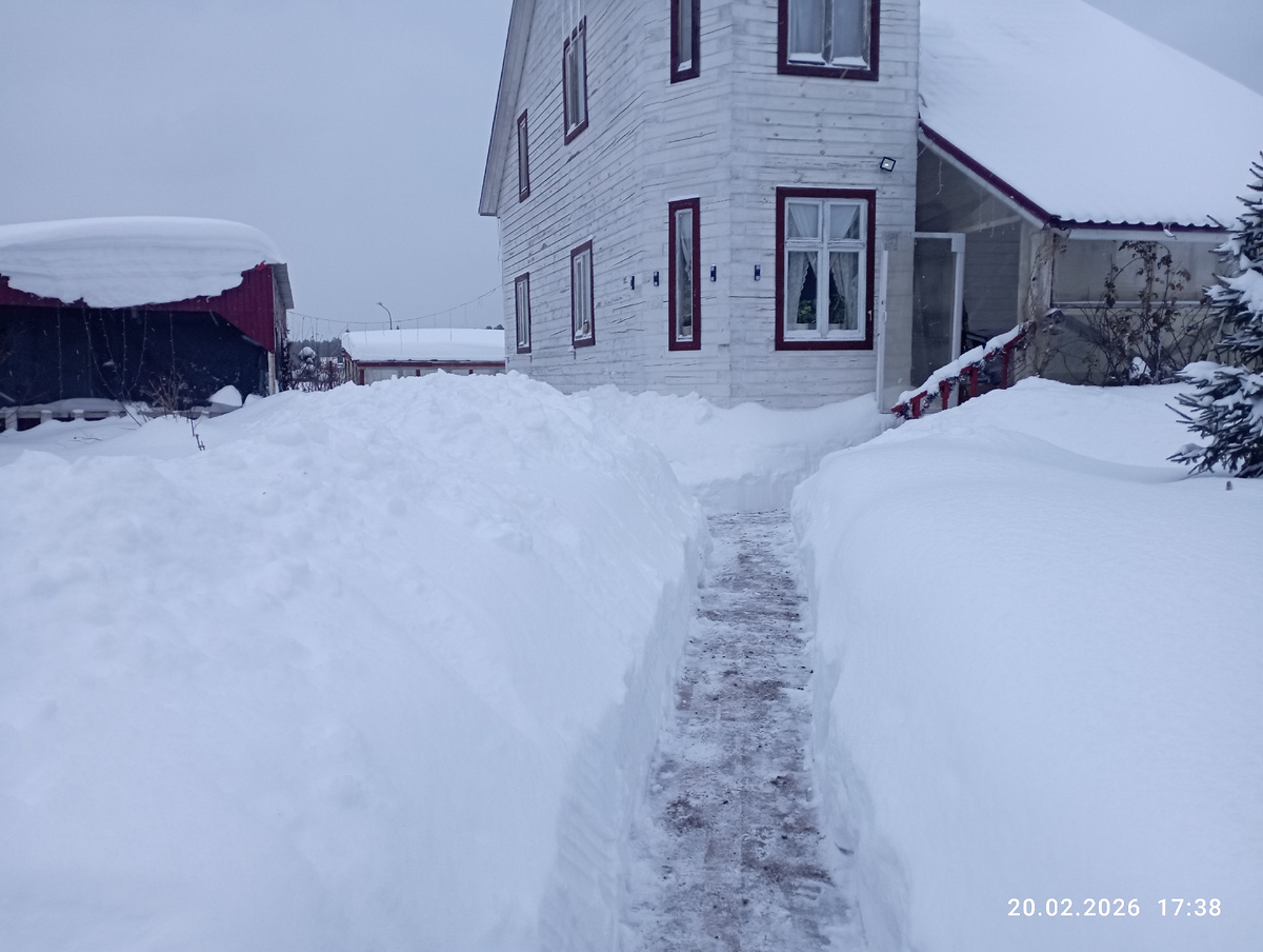 Неделю назад!