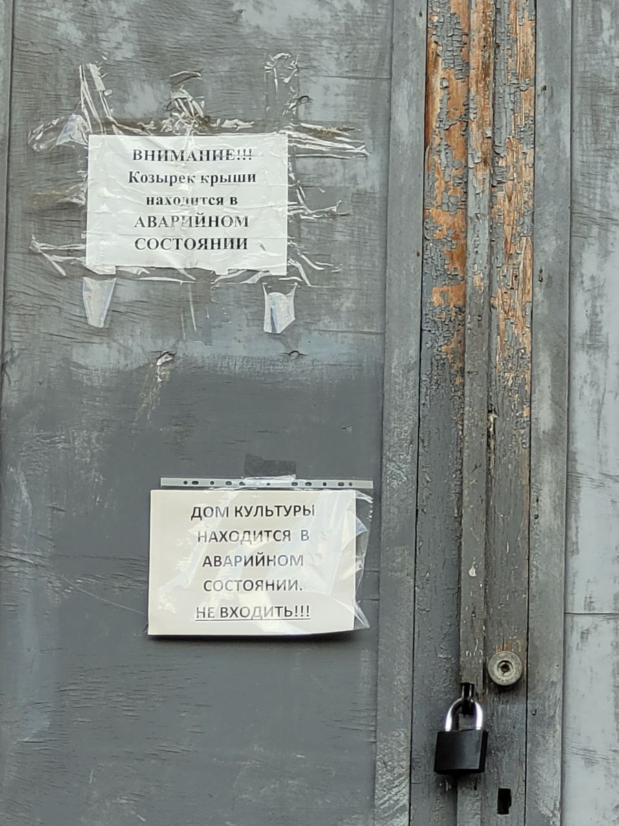 Фото автора 2024 год