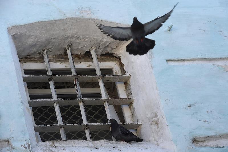 Фото: Дмитрий Лебедев/Коммерсантъ