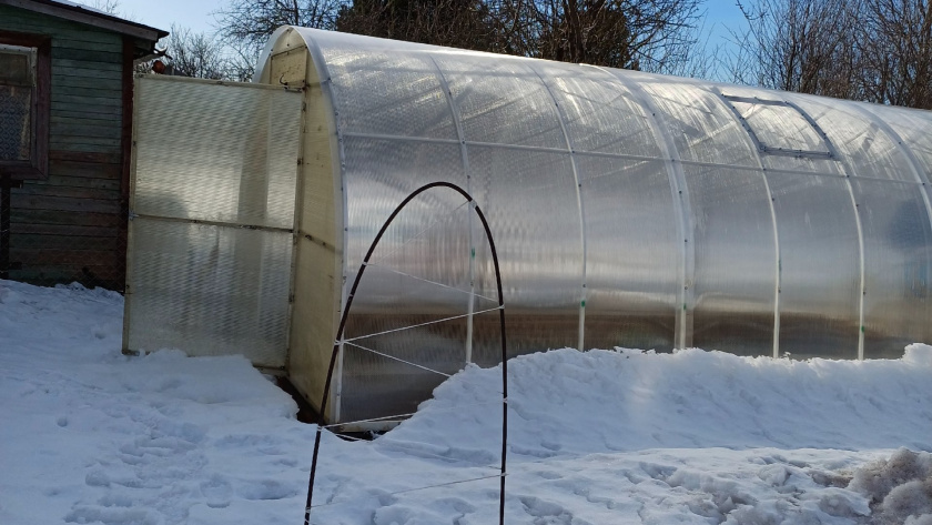    Фото progorod43.ru