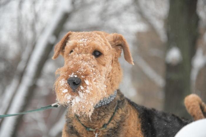 Обложка © Life.ru