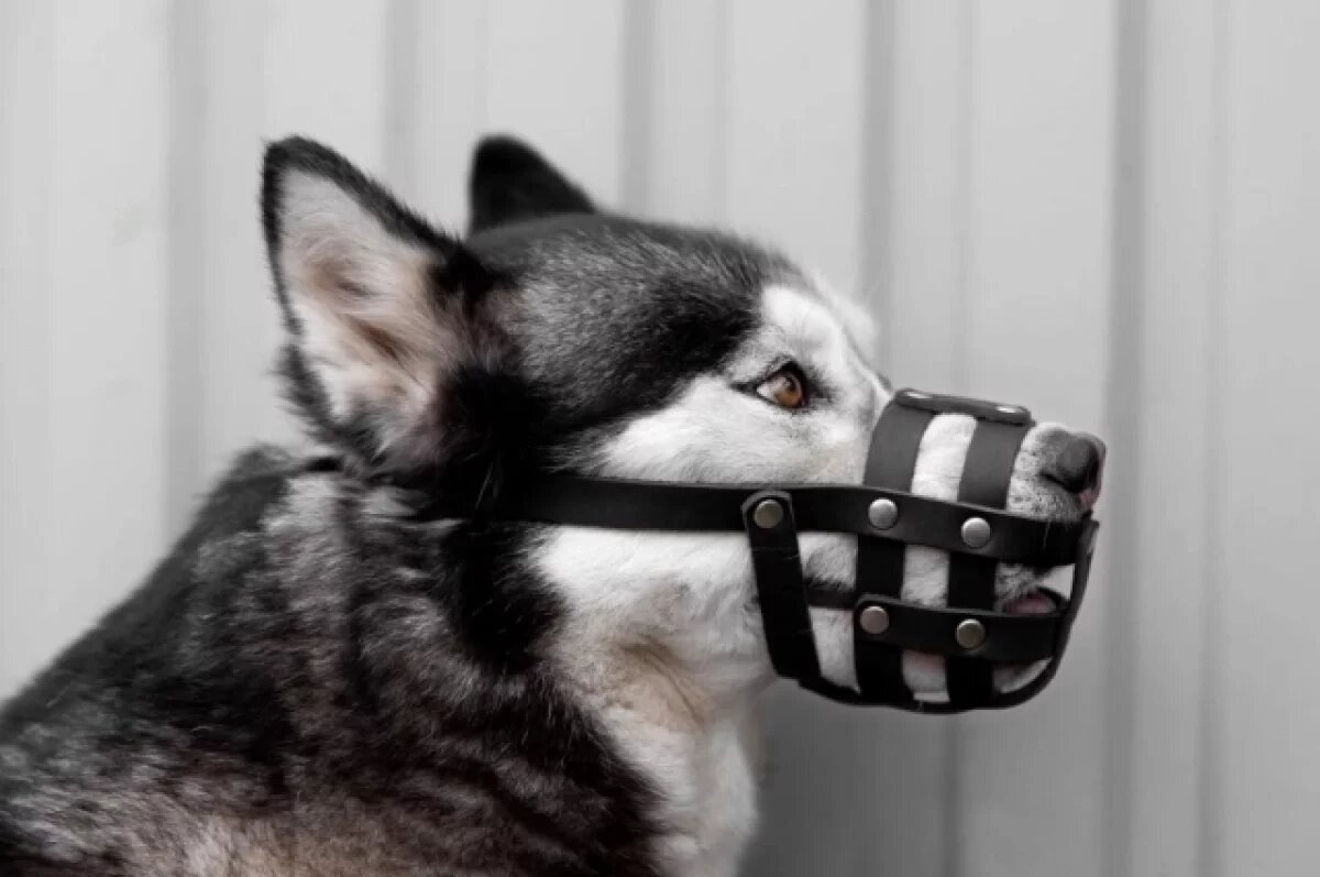    Без нервов.