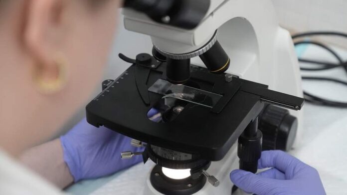    Революция в нейробиологии: как витамин B5 (пантотеновая кислота) становится ключом к восстановлению клеточных электростанций мозга и потенциальному замедлению нейродегенеративных процессов. novostix