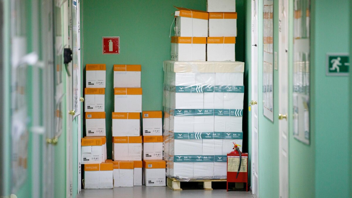    Фото: Ilya Moskovets/URA.RU/globallookpress.com