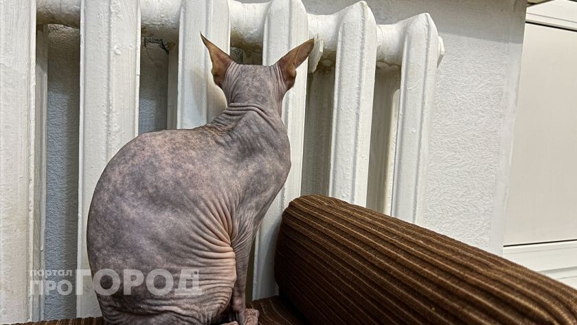    из архива "Про Город"