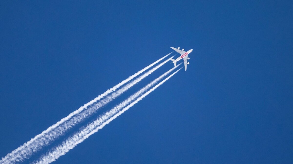    Фото: Федор Воронов / «Ямал-Медиа»