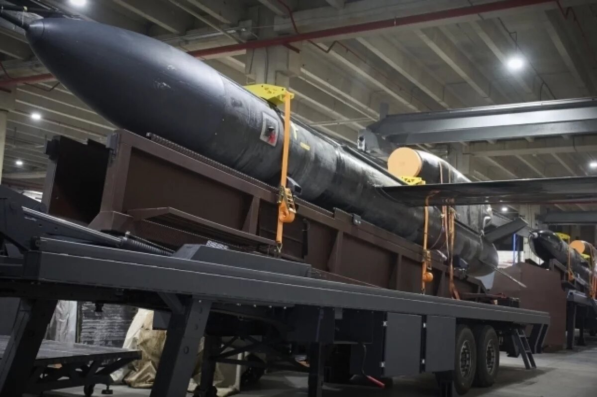    Крылатая ракета ВСУ "Фламинго"