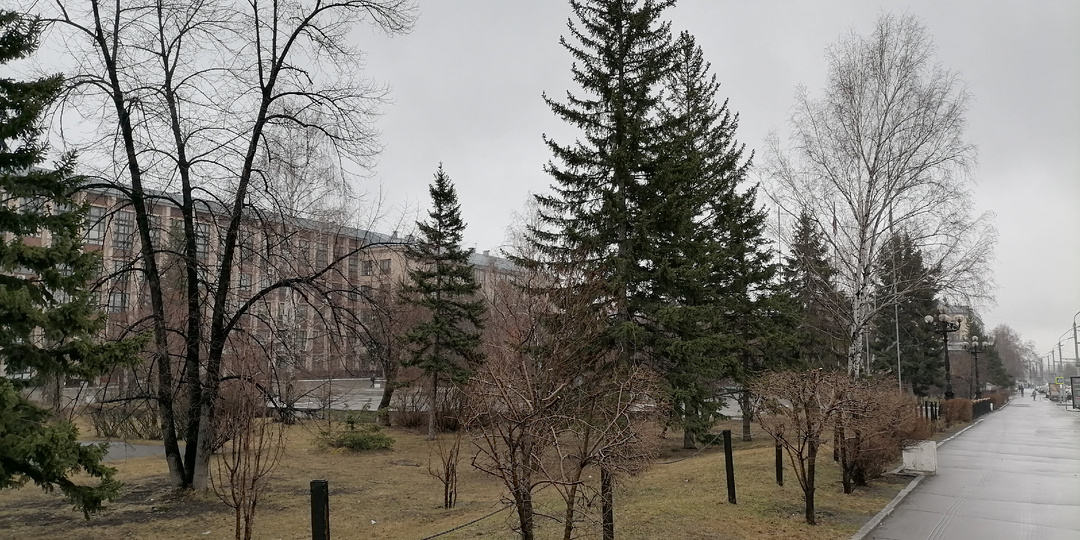 Как прошла эта неделя. Дела потихоньку продвигаются