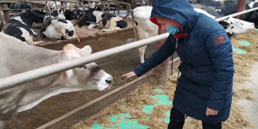 "Это безумие": Делягин заподозрил заговор олигархов. В Сибири убивают не только скот