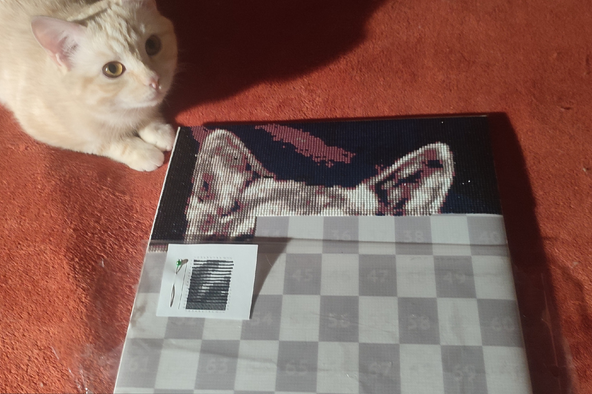 Процесс сборки мозаики потихоньку продвигается. 