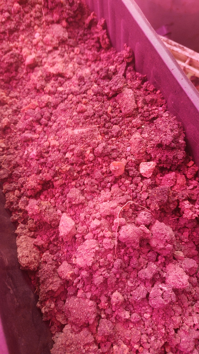 Вот она глина.