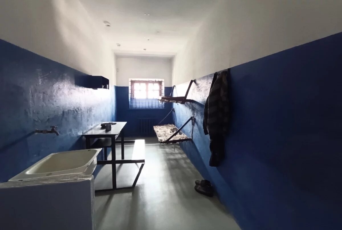    Зефир — в камеру.