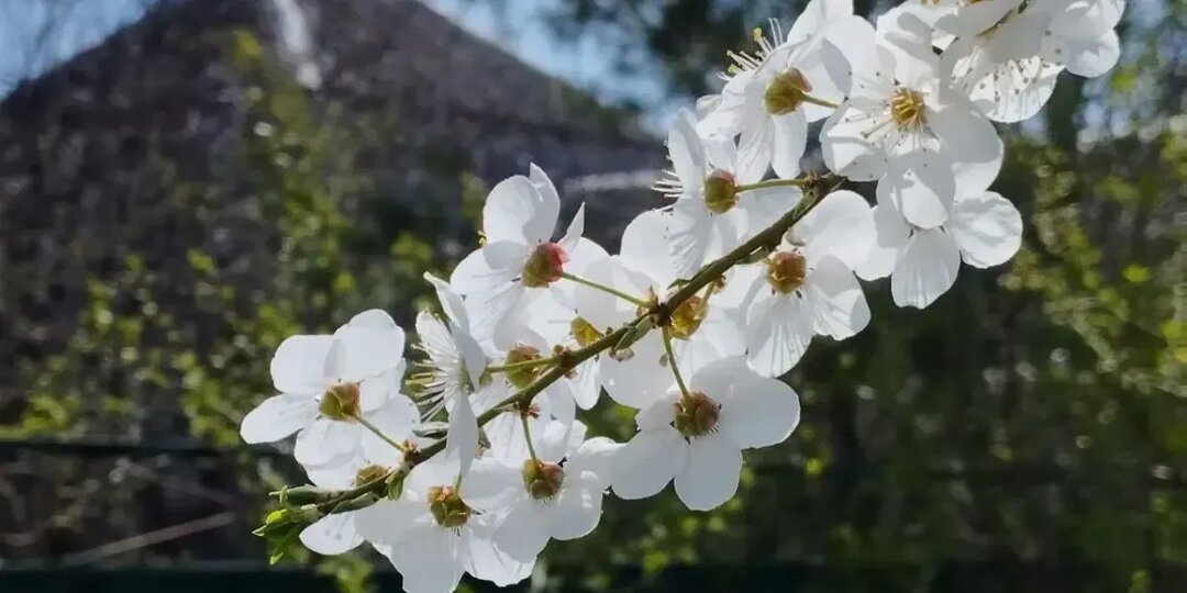 Аномальное потепление ожидается в Башкирии в конце марта и апреле