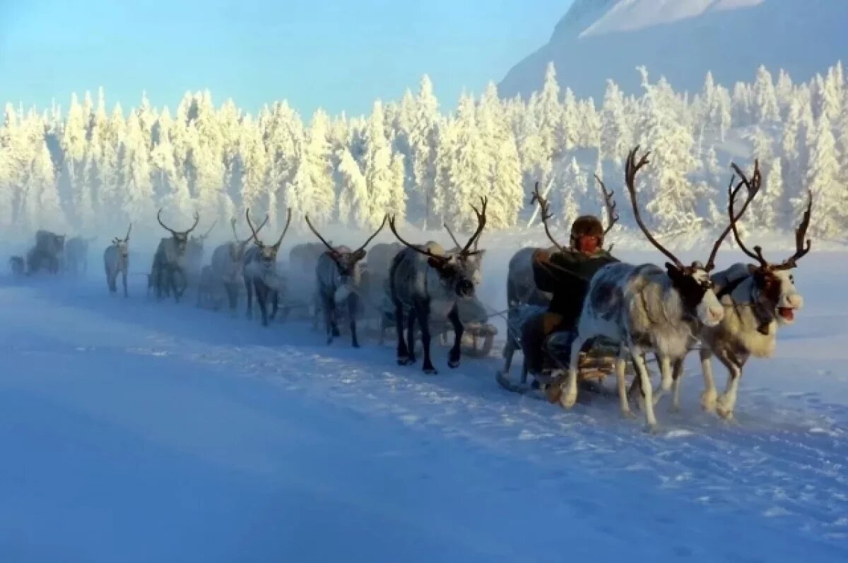    Владимир Путин подписал указ о передаче Якутии 100% АО «Ючюгейское»