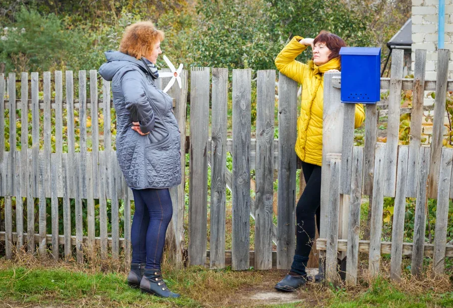 Яндекс картинки