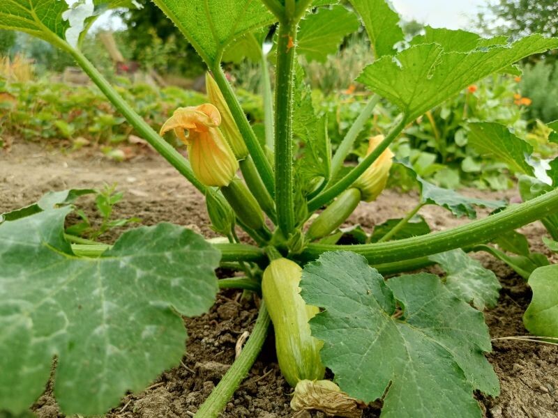    Фото Светланы Журавка. admin