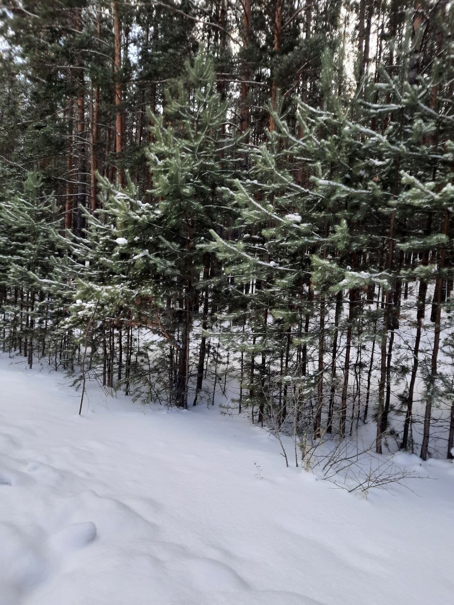 Фото автора.