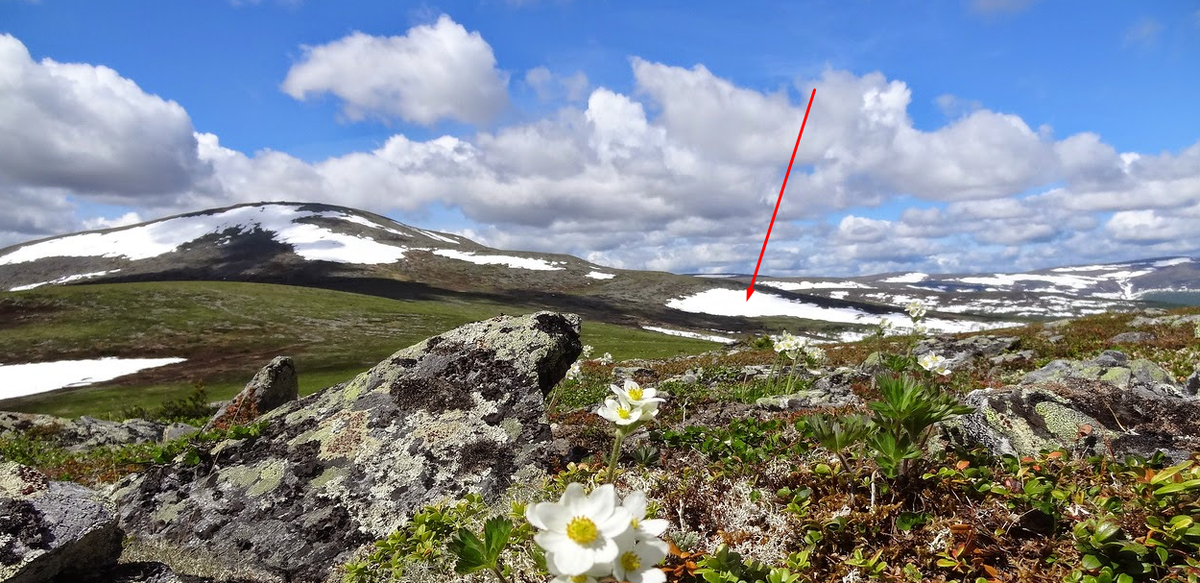 По мнению Анкудинова именно здесь произошёл взрыв в 1959 году. Проверим обязательно. Если ничего не найдём металлоискателем, то в этом месте взрыва точно не было
