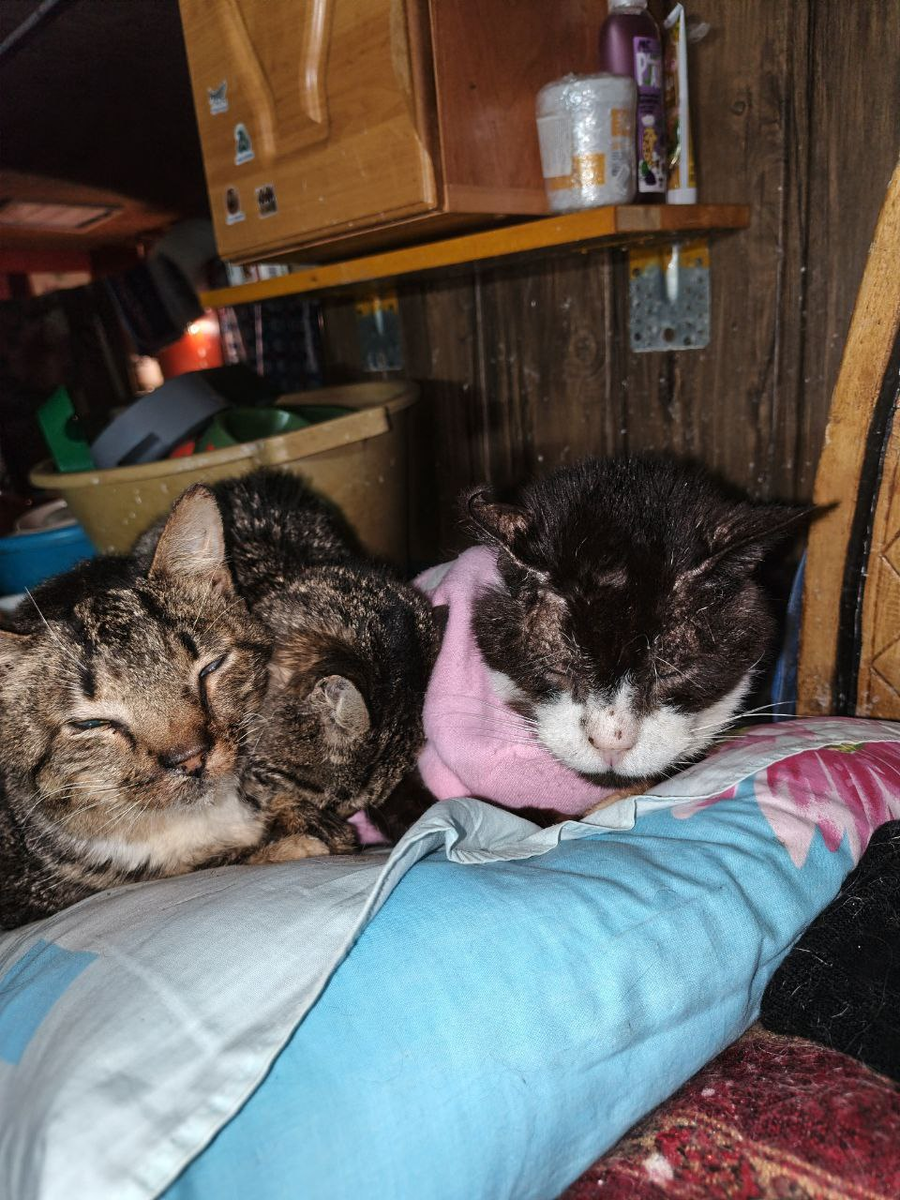 Компактное хранение хвостатых мощностей. Попытка внедрить четвертого юнита приведет к системному сбою.