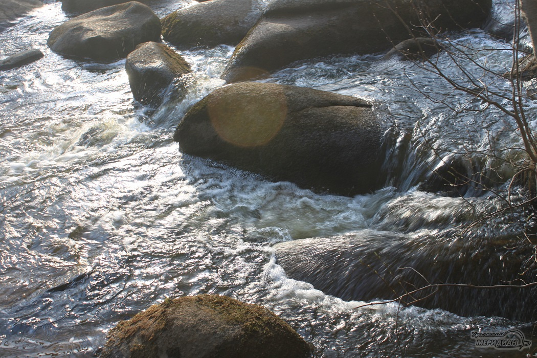    Фото: Вера Яковлева © ИА «Уральский меридиан»