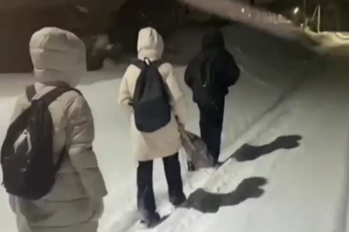    Водителя не могут найти уже не первый год. В результате страдают дети