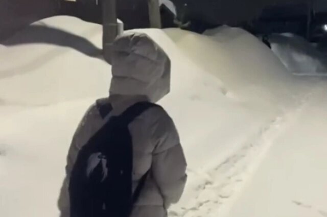    До школы детям нужно идти три с половиной километра Фото: Народный фронт | Пермский край