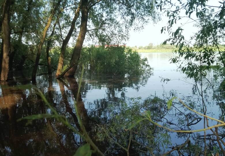 Про дела огородные.