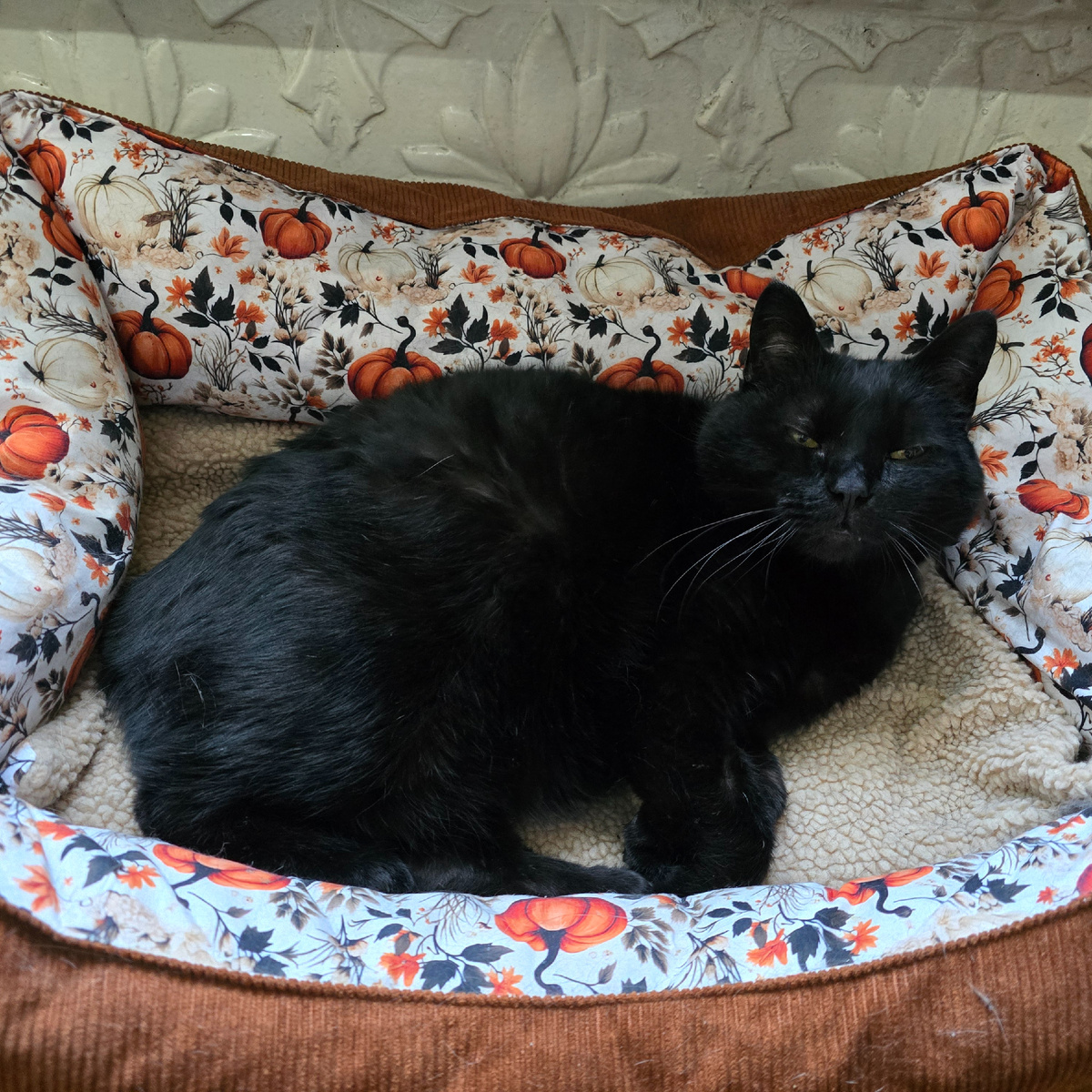 царская поза в лежанке