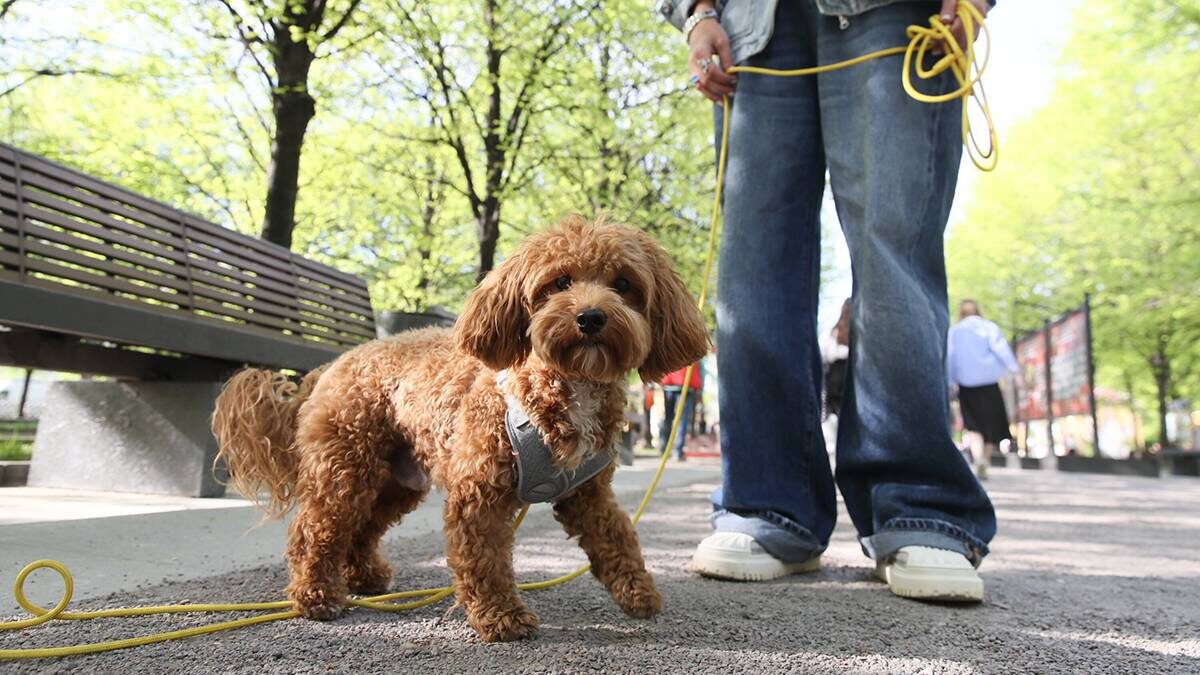    Фото: Василий Кузьмиченок / АГН Москва
