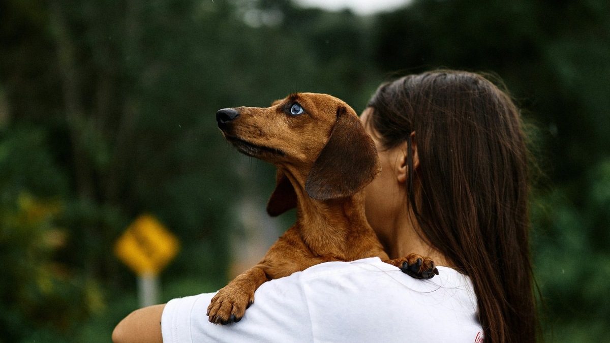    Оказать помощь можно даже из дома